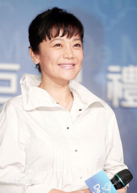 精选张艾嘉(Sylvia Chang)精彩图册
