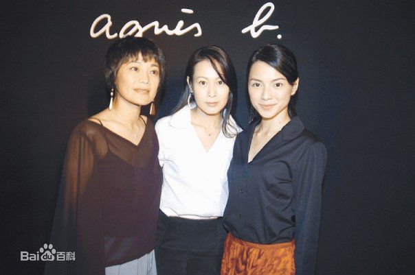 精选张艾嘉(Sylvia Chang)精彩图册