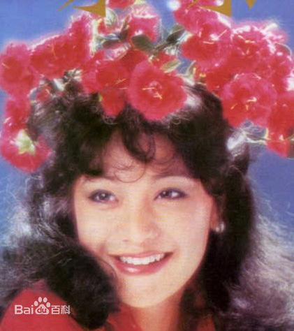 精选张艾嘉(Sylvia Chang)精彩图册