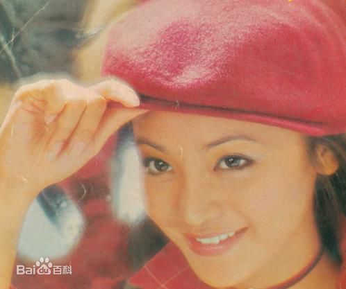 精选张艾嘉(Sylvia Chang)精彩图册