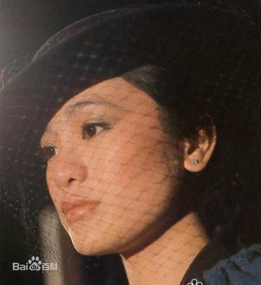 精选张艾嘉(Sylvia Chang)精彩图册