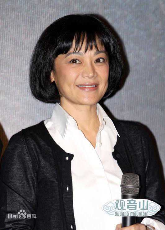 精选张艾嘉(Sylvia Chang)精彩图册