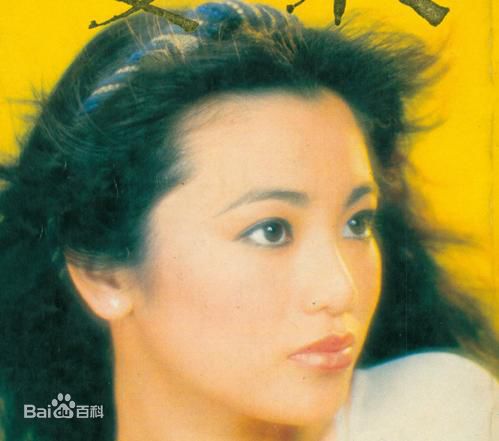 精选张艾嘉(Sylvia Chang)精彩图册