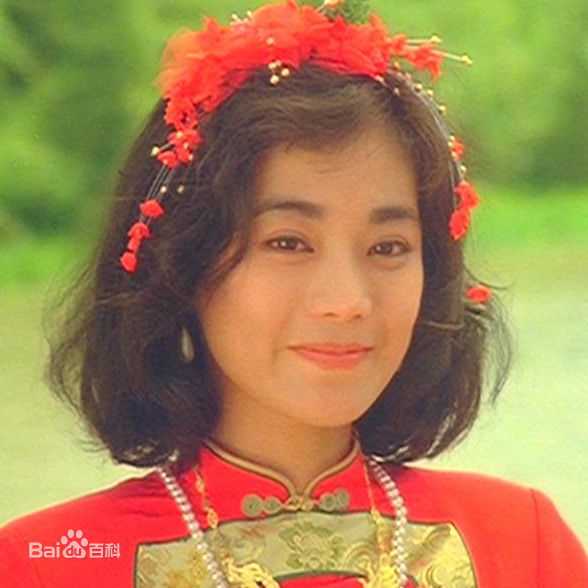 精选张艾嘉(Sylvia Chang)精彩图册