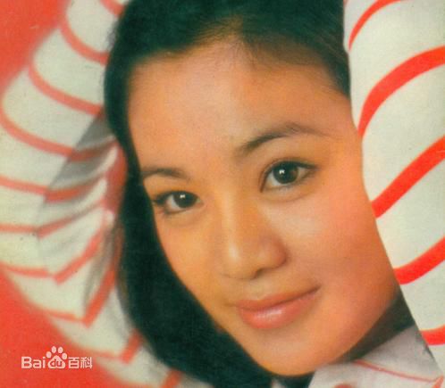 精选张艾嘉(Sylvia Chang)精彩图册