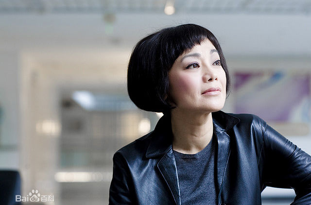 最全张艾嘉(Sylvia Chang)壁纸