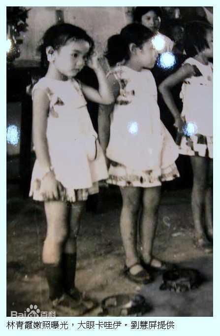 林青霞(Brigitte Lin)少女时期素颜照相册