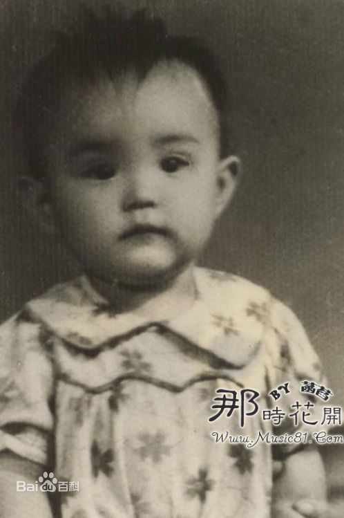 林青霞(Brigitte Lin)少女时期素颜照相册