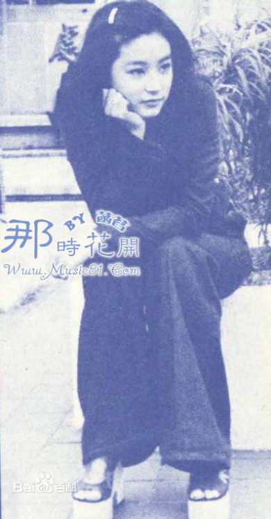 林青霞(Brigitte Lin)少女时期素颜照相册