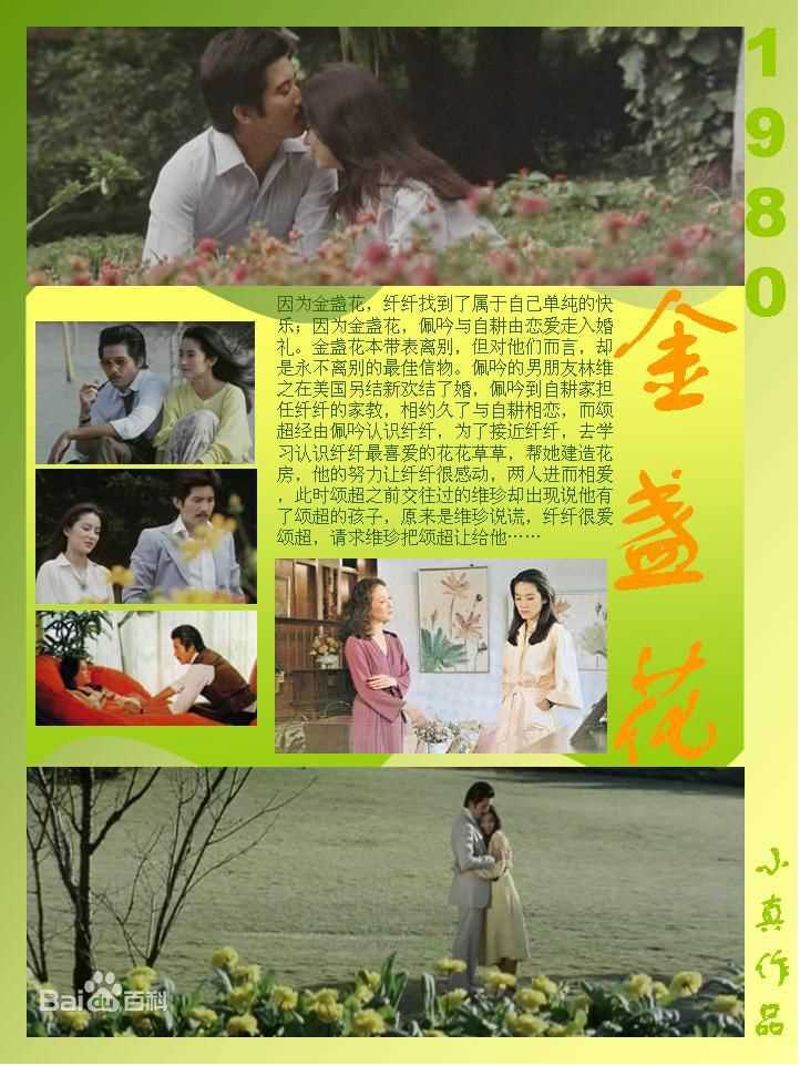 林青霞(Brigitte Lin)的100部电影（一）图册