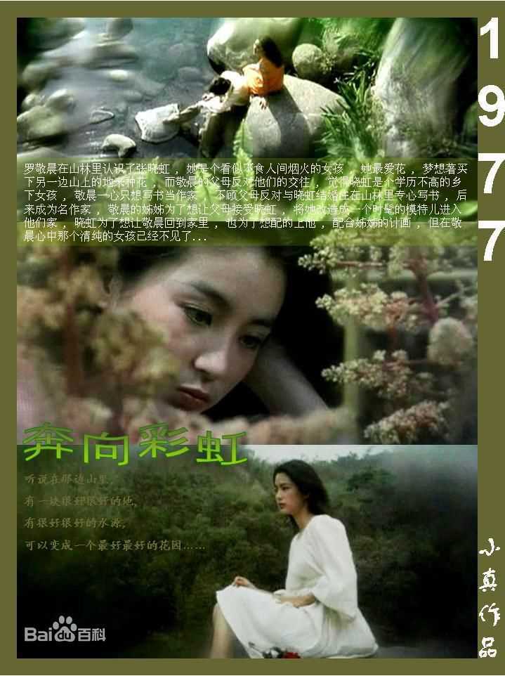 林青霞(Brigitte Lin)的100部电影（一）图册