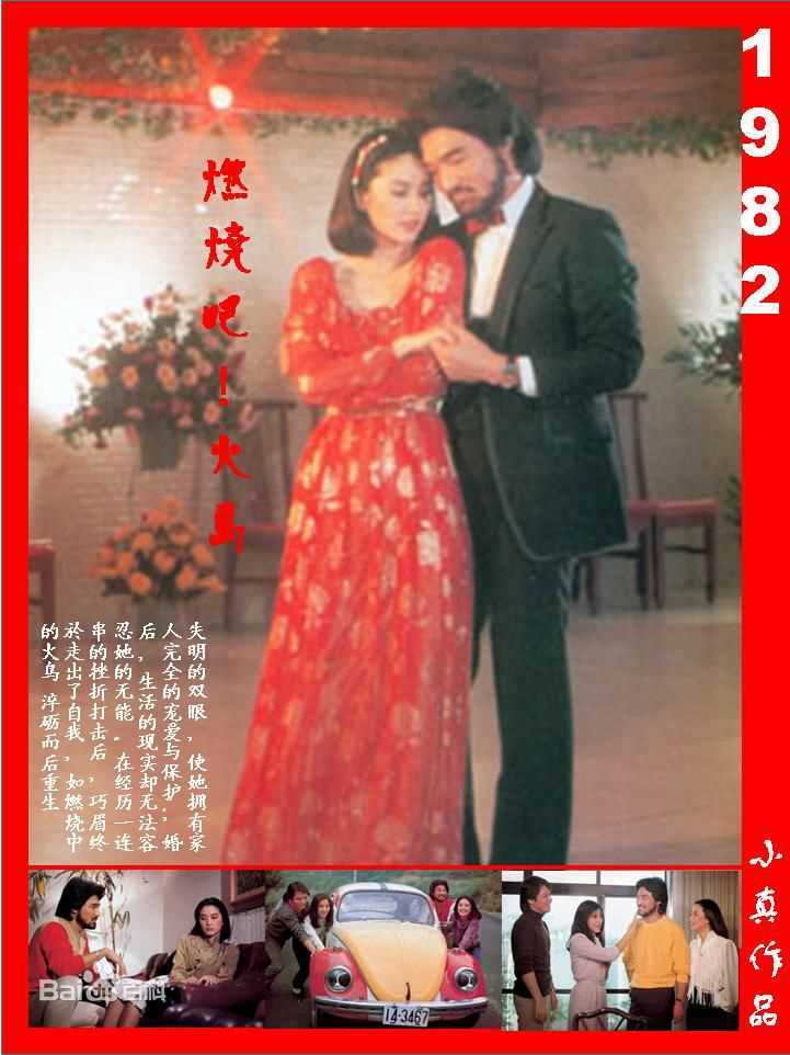 林青霞(Brigitte Lin)的100部电影（一）图册
