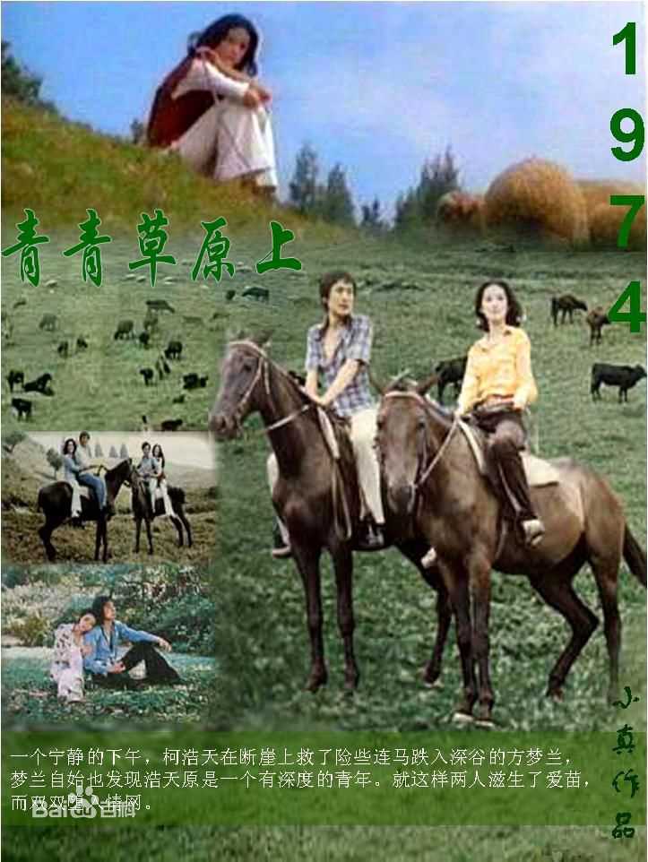 林青霞(Brigitte Lin)的100部电影（一）图册