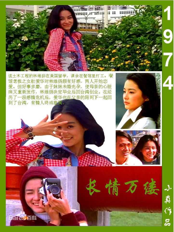 林青霞(Brigitte Lin)的100部电影壁纸壁纸