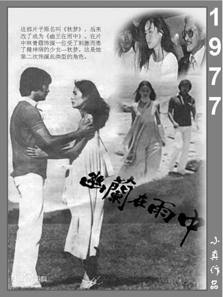 林青霞(Brigitte Lin)的100部电影壁纸壁纸