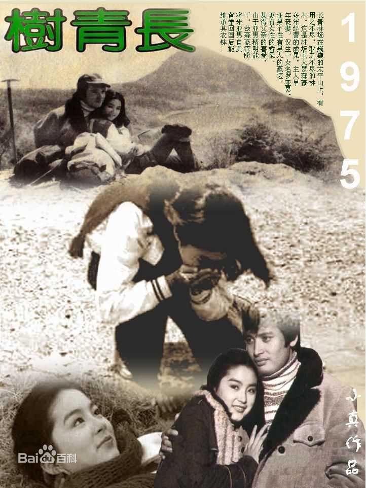 林青霞(Brigitte Lin)的100部电影壁纸壁纸