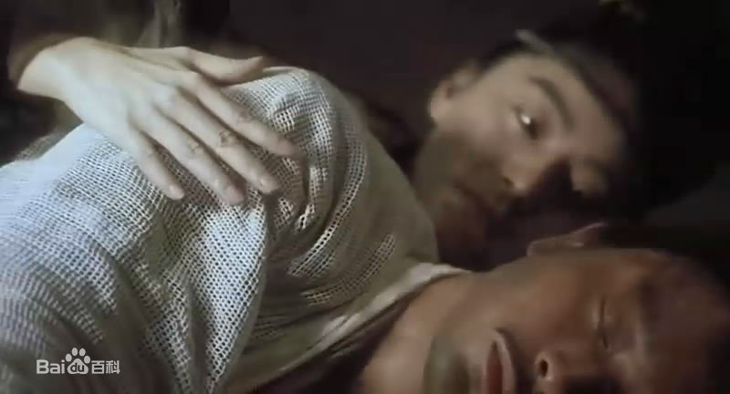 最新林青霞(Brigitte Lin)在1994年《东邪西毒》饰演独孤求败中的壁纸