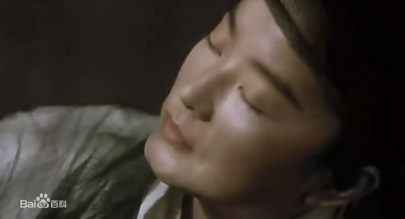 最新林青霞(Brigitte Lin)在1994年《东邪西毒》饰演独孤求败中的壁纸