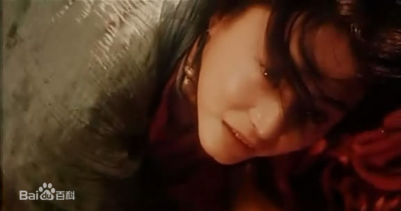 最新林青霞(Brigitte Lin)在1994年《东邪西毒》饰演独孤求败中的壁纸