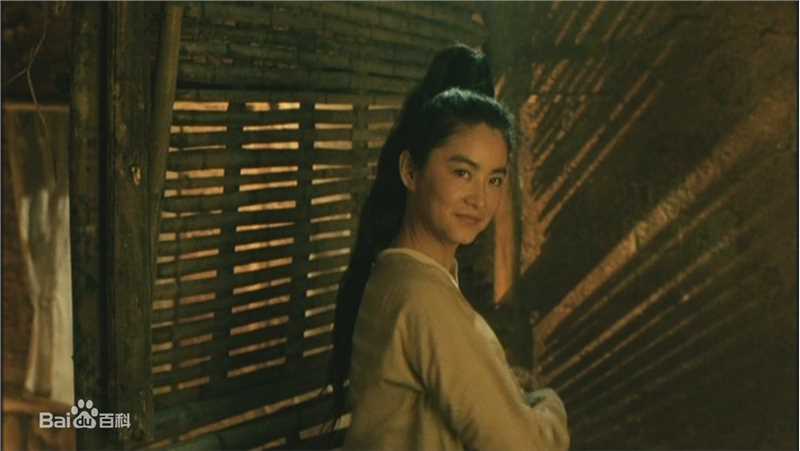 精选林青霞(Brigitte Lin)在1992年《新龙门客栈》饰演邱莫言中的图册