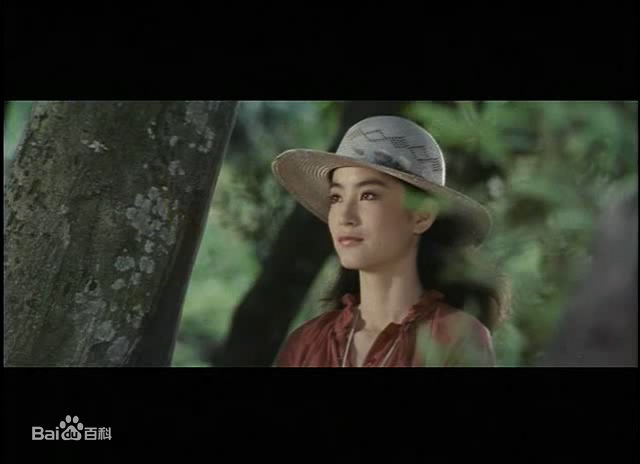 最全林青霞(Brigitte Lin)在1979年《一颗红豆》饰演夏初蕾中的壁纸