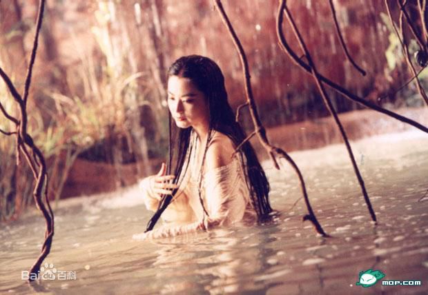 最优质林青霞(Brigitte Lin)精彩图册