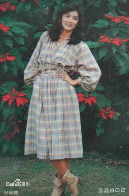 最优质林青霞(Brigitte Lin)精彩图册