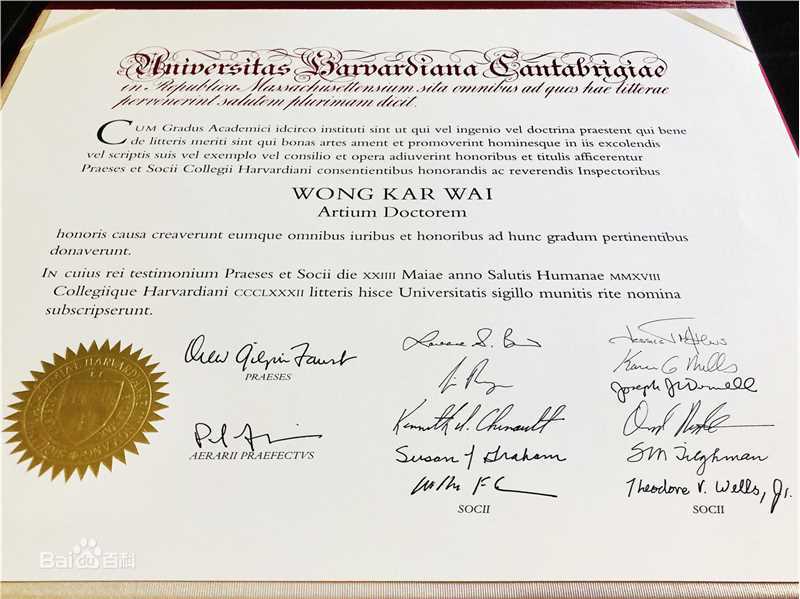 王家卫(Wong Kar-wai)的个人其他荣誉照素颜照相册