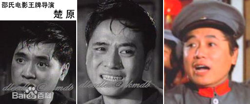 最全楚原素颜照