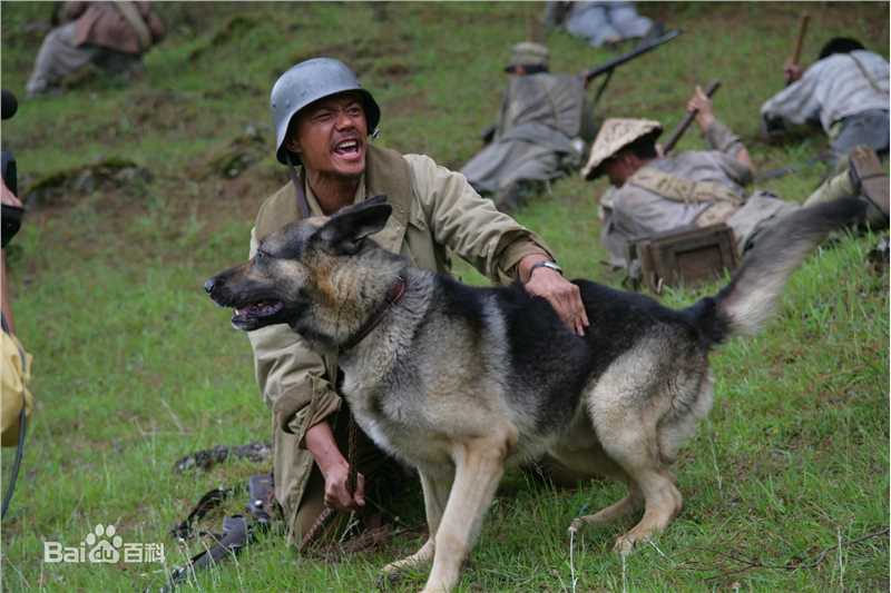 最优质段奕宏(Duan Long)在《我的团长我的团》饰演龙文章中的相册