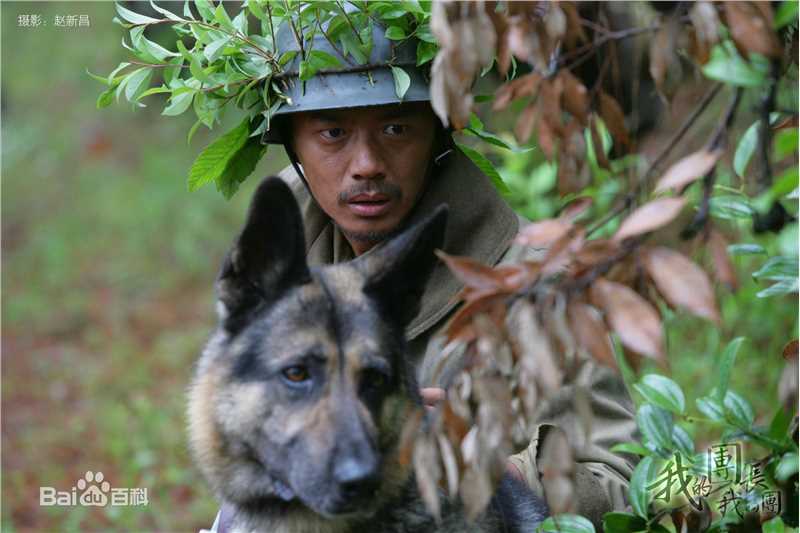 最优质段奕宏(Duan Long)在《我的团长我的团》饰演龙文章中的相册