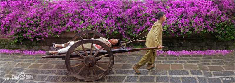 最优质段奕宏(Duan Long)在《我的团长我的团》饰演龙文章中的相册