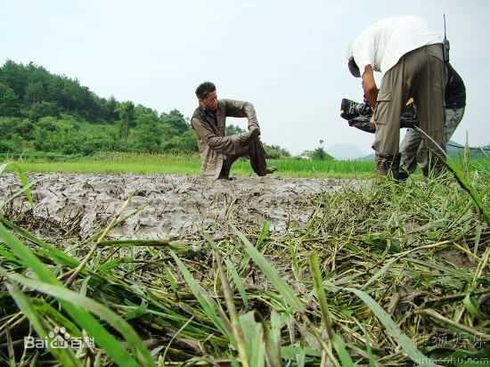 段奕宏(Duan Long)精彩图册