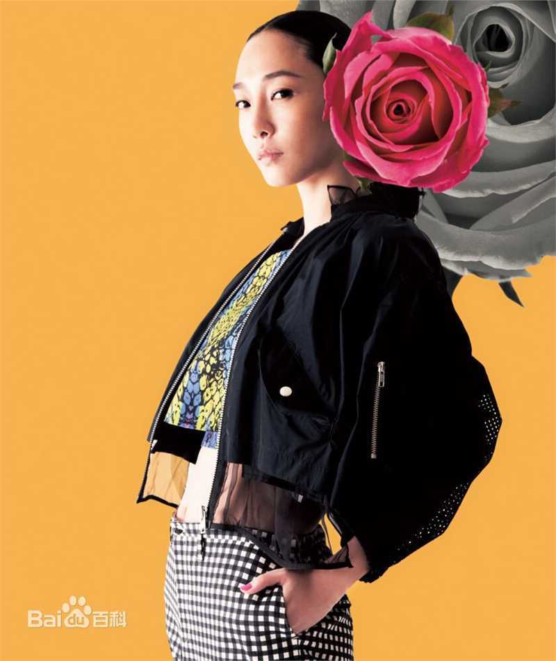 最全白百何(Bai Baihe)壁纸