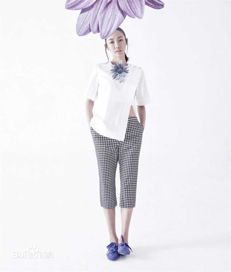 最全白百何(Bai Baihe)壁纸