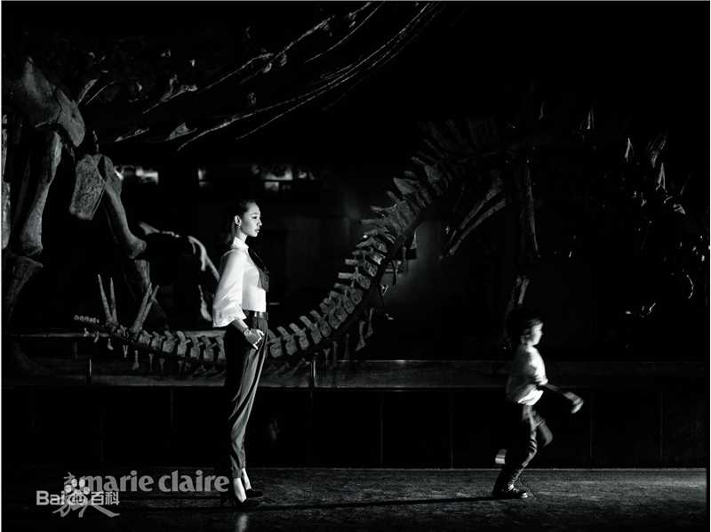 最全白百何(Bai Baihe)壁纸