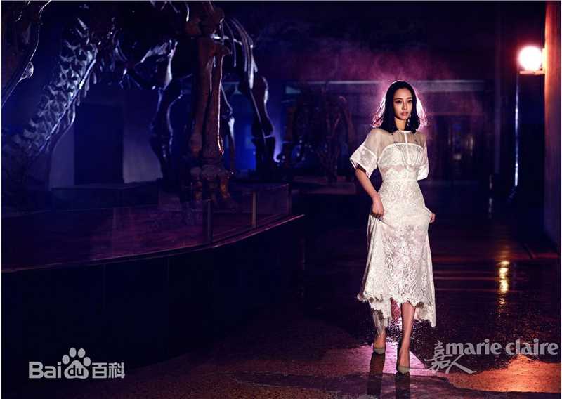 最全白百何(Bai Baihe)壁纸