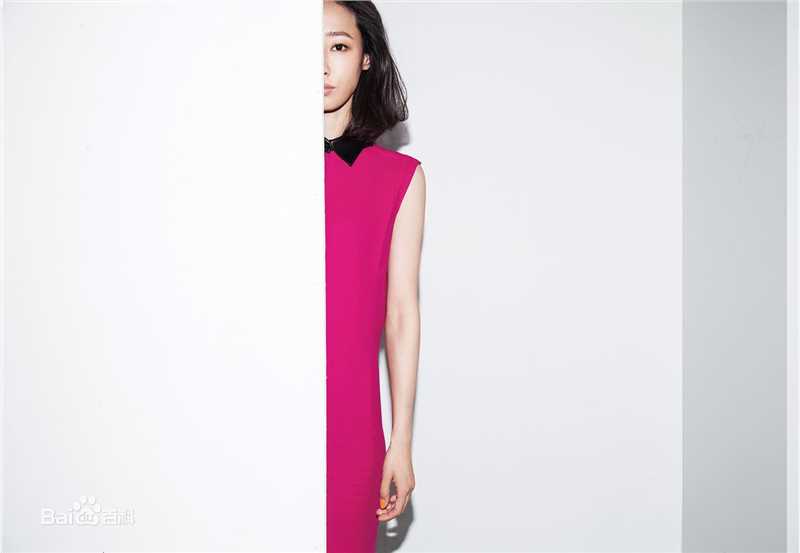 最全白百何(Bai Baihe)壁纸