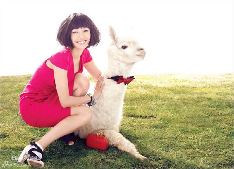 最优质白百何(Bai Baihe)精彩图册