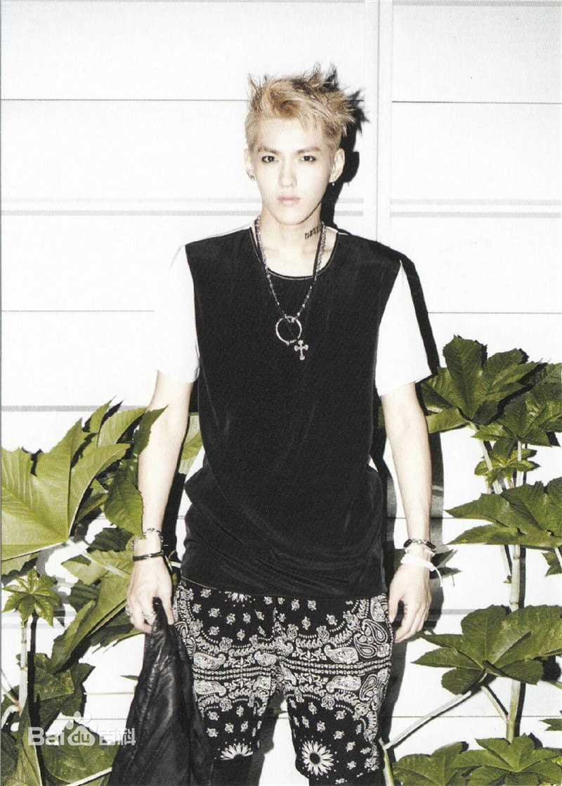 吴亦凡(KRIS)早年青涩暖男霸气队长帅气门面图册