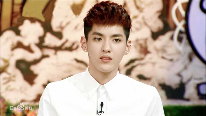 吴亦凡(KRIS)白衬衫壁纸壁纸