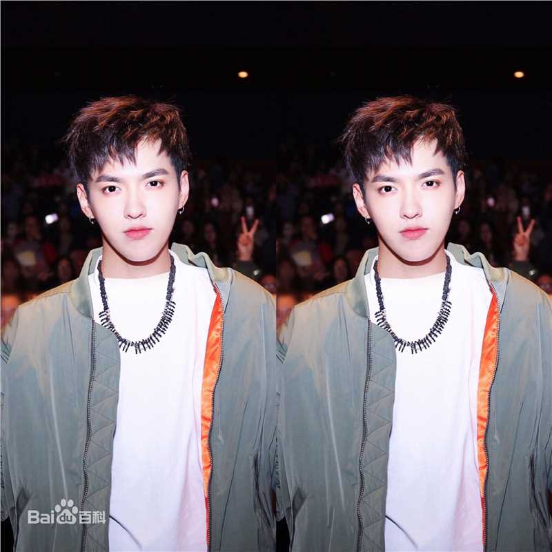 吴亦凡(KRIS)出席活动壁纸壁纸