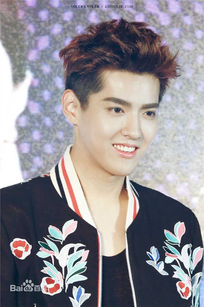 吴亦凡(KRIS)出席活动壁纸壁纸
