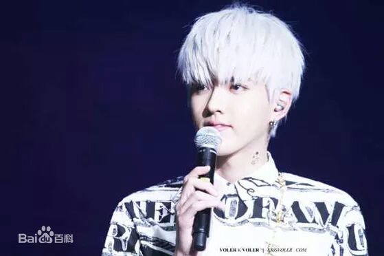 吴亦凡(KRIS)出席活动壁纸壁纸