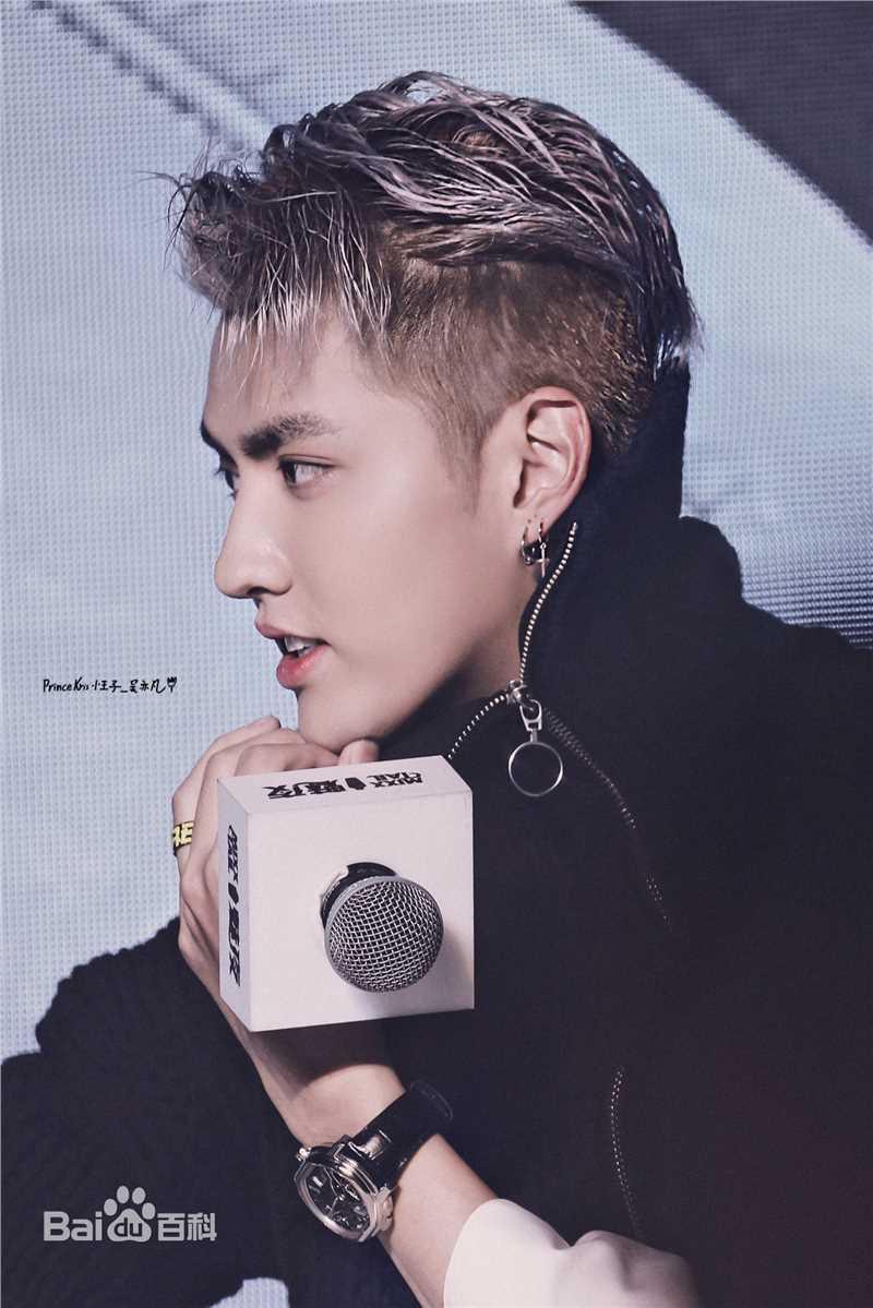 吴亦凡(KRIS)出席活动壁纸壁纸