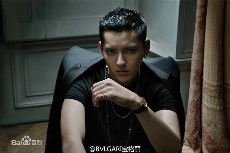 吴亦凡(KRIS)形象代言素颜照相册