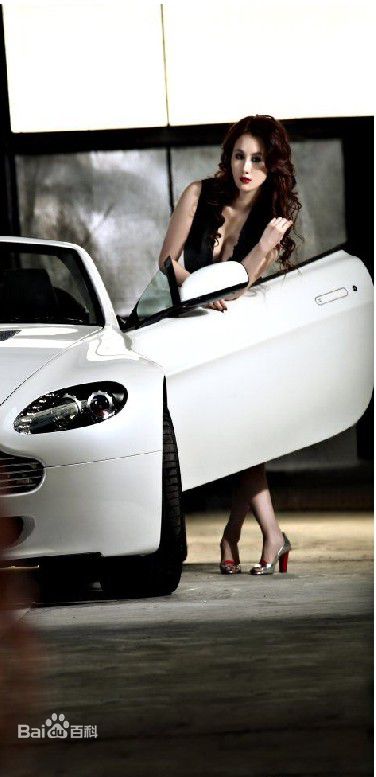 孟瑶(NatalieYaoMeng)2009年阿斯顿马丁车模照性感图片图集