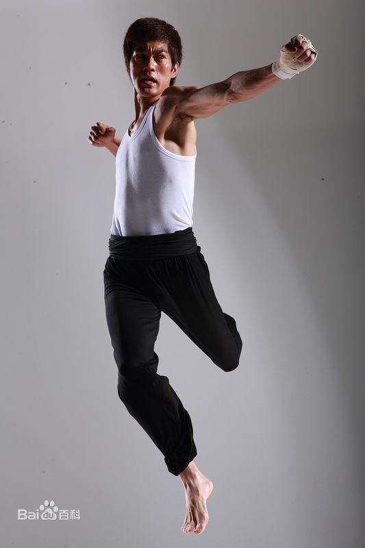 最新陈国坤(DannyKwok-KwanChan)壁纸