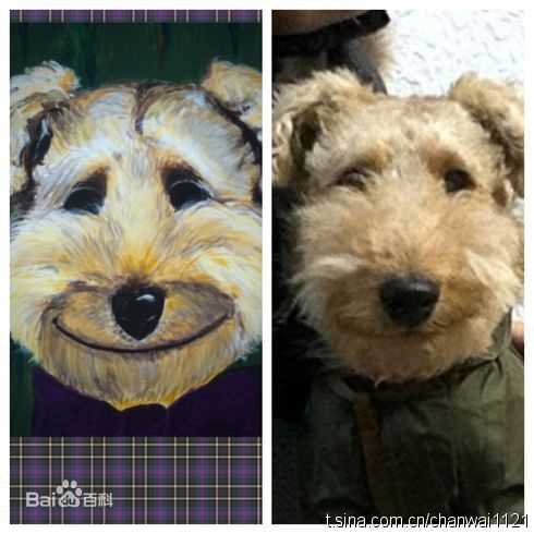 陈炜(Alice Chan)画作生活照相册