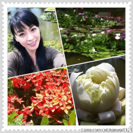 陈炜(Alice Chan)微博图片生活照